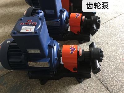 齿轮泵